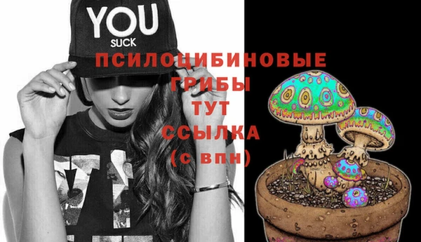 соль курить ск Богородск
