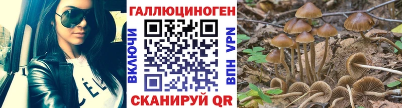 Купить  Кингисепп  Псилоцибиновые грибы мухоморы 
